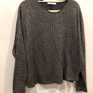 Zara gray and gold glitter top